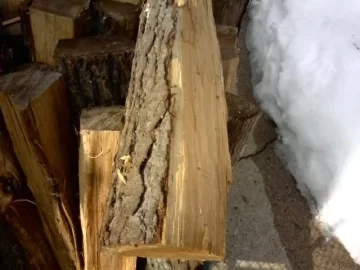 [Hearth.com] The ever arrising "what kind of wood is this?"