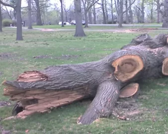 [Hearth.com] New Member this is my wood pile
