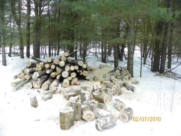[Hearth.com] Not This Year!