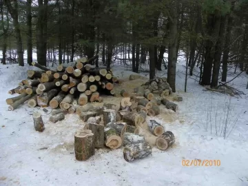 [Hearth.com] Not This Year!
