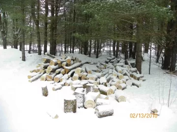 [Hearth.com] Not This Year!