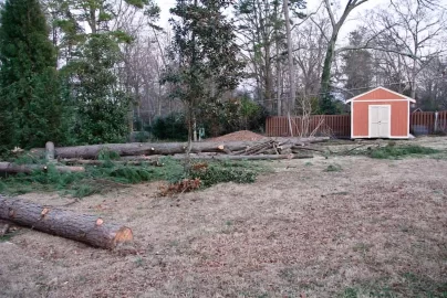 [Hearth.com] Wood scrounger alert in Charlotte NC w/ pics