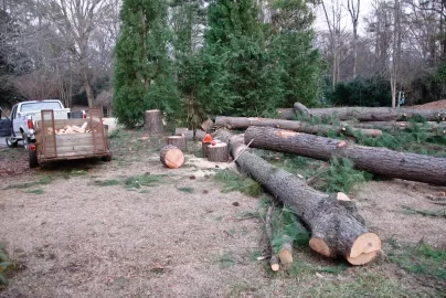 [Hearth.com] Wood scrounger alert in Charlotte NC w/ pics