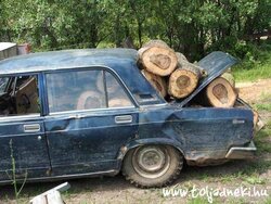 Logs In Car 1.jpg