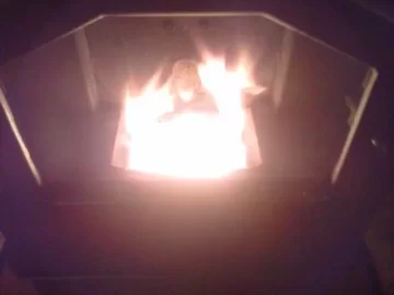 [Hearth.com] invested in magnum stove