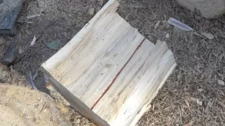 [Hearth.com] Another wood ID