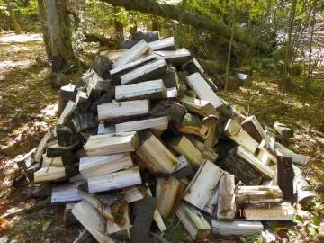 [Hearth.com] Another wood ID