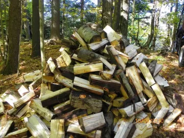 [Hearth.com] Another wood ID