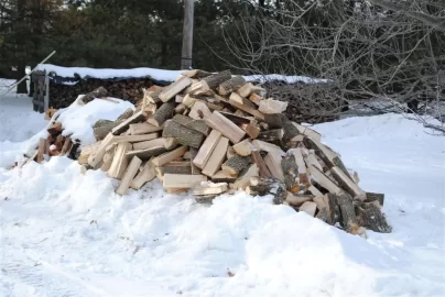 [Hearth.com] Cut a load of ash today!(with pics)_Split this weekend 2/12