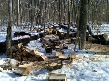 [Hearth.com] Cut a load of ash today!(with pics)_Split this weekend 2/12