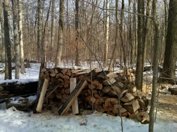[Hearth.com] Cut a load of ash today!(with pics)_Split this weekend 2/12