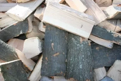 [Hearth.com] Got Oak