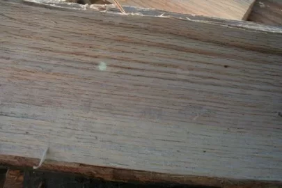 [Hearth.com] Got Oak