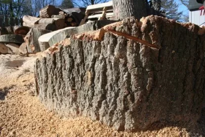 [Hearth.com] Got Oak