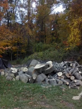 [Hearth.com] Poplar anyone?