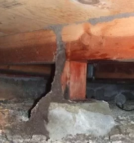 [Hearth.com] Termites in firewood