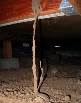 [Hearth.com] Termites in firewood