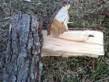 [Hearth.com] ID?