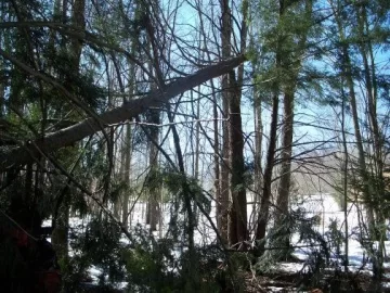 [Hearth.com] watch where you park the tractor when the wind blows