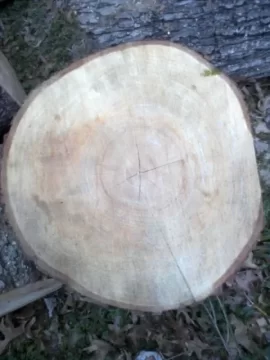 [Hearth.com] Wood ID?