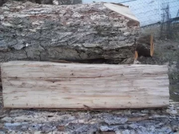 [Hearth.com] Wood ID ?