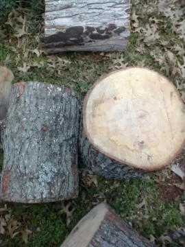 [Hearth.com] Wood ID?
