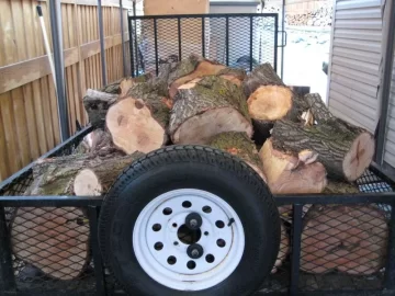 [Hearth.com] More free wood, and a bonus of some great help!