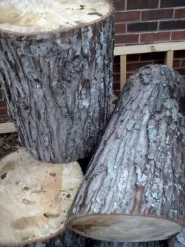 [Hearth.com] Wood ID?
