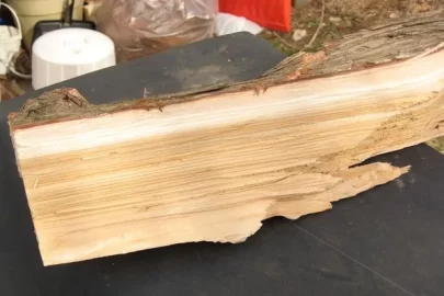 [Hearth.com] Wood ID