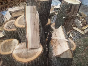 [Hearth.com] Wood ID