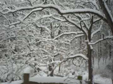[Hearth.com] Woke up to this yesterday morning...