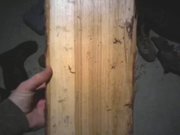 [Hearth.com] Wood ID