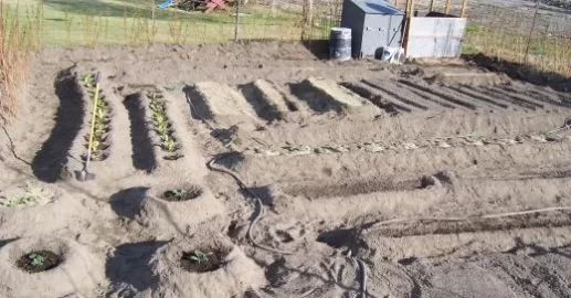 [Hearth.com] Veggie Gardens