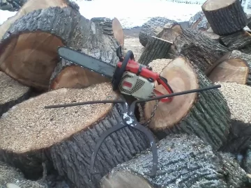 [Hearth.com] Wood ID and score