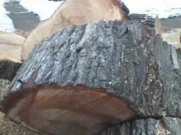 [Hearth.com] Wood ID and score