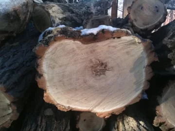[Hearth.com] Another wood ID