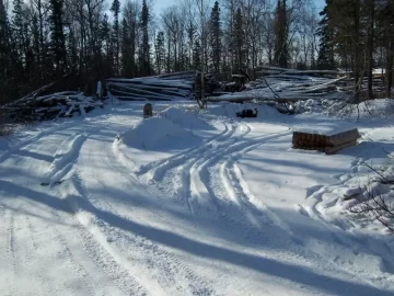 [Hearth.com] Found possible wood gold mine near me!