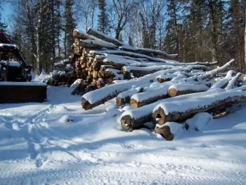 [Hearth.com] Found possible wood gold mine near me!