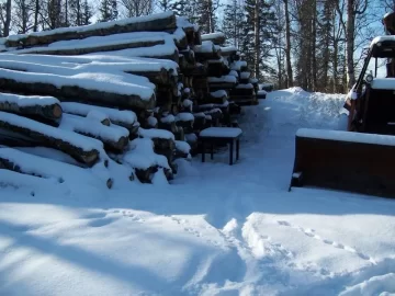[Hearth.com] Found possible wood gold mine near me!
