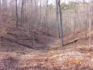 [Hearth.com] Trail Clearing this Summer/Fall