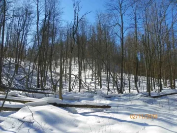 [Hearth.com] Trail Clearing this Summer/Fall