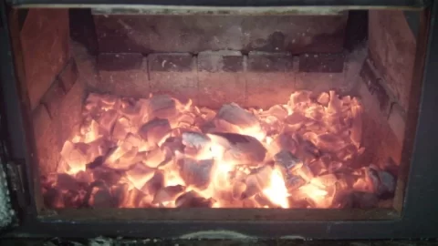 [Hearth.com] Burning Chunk