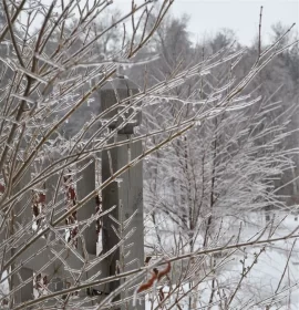 [Hearth.com] Ice Storm!
