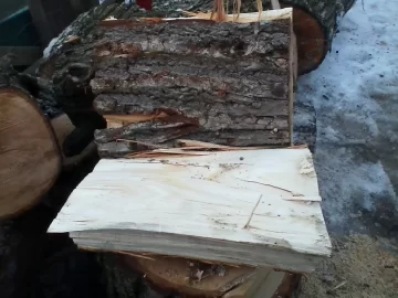 [Hearth.com] Wood ID and score