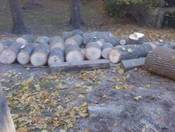 Tons of Free Wood....Now How Do I Get It HOME???