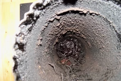 [Hearth.com] Stove suddenly spilling smoke (pics)
