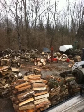 [Hearth.com] Spring splitting.  Major clean-up under way