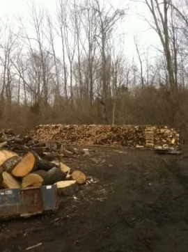 [Hearth.com] Spring splitting.  Major clean-up under way