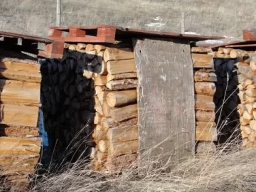 [Hearth.com] Processed a very large logging truck full of wood - last winter.