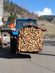 Processed a very large logging truck full of wood - last winter.